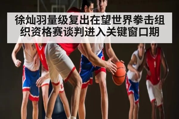 徐灿羽量级复出在望世界拳击组织资格赛谈判进入关键窗口期